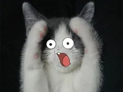 Тарілка красиве